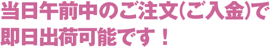 当日午前中のご注文（ご入金）で即日出荷可能です！